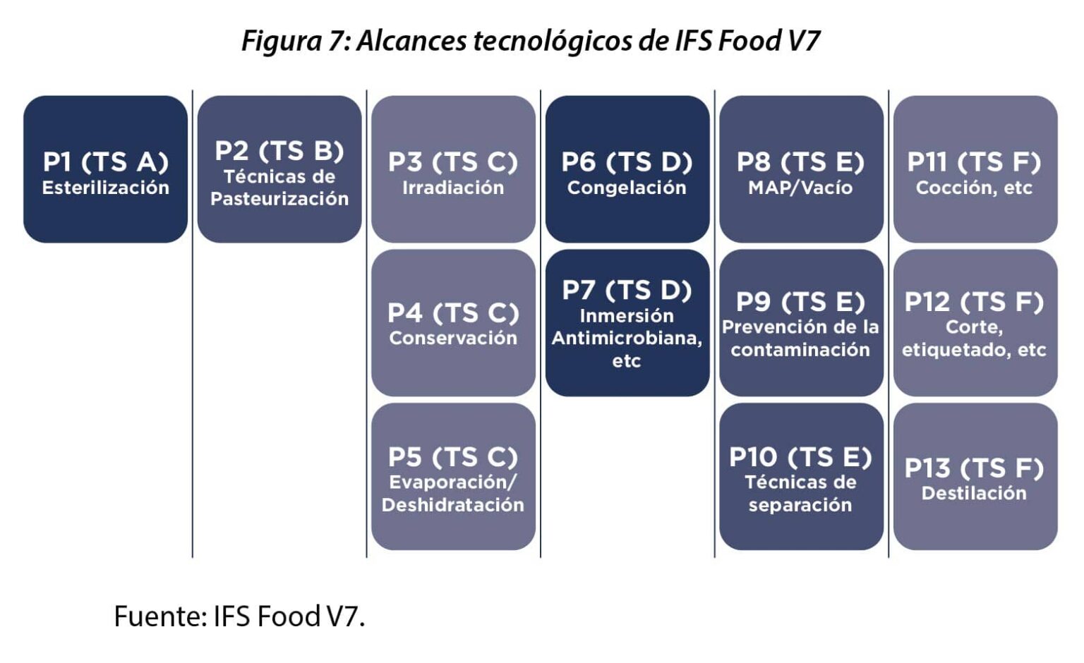 IFS Food V7 - Ibro