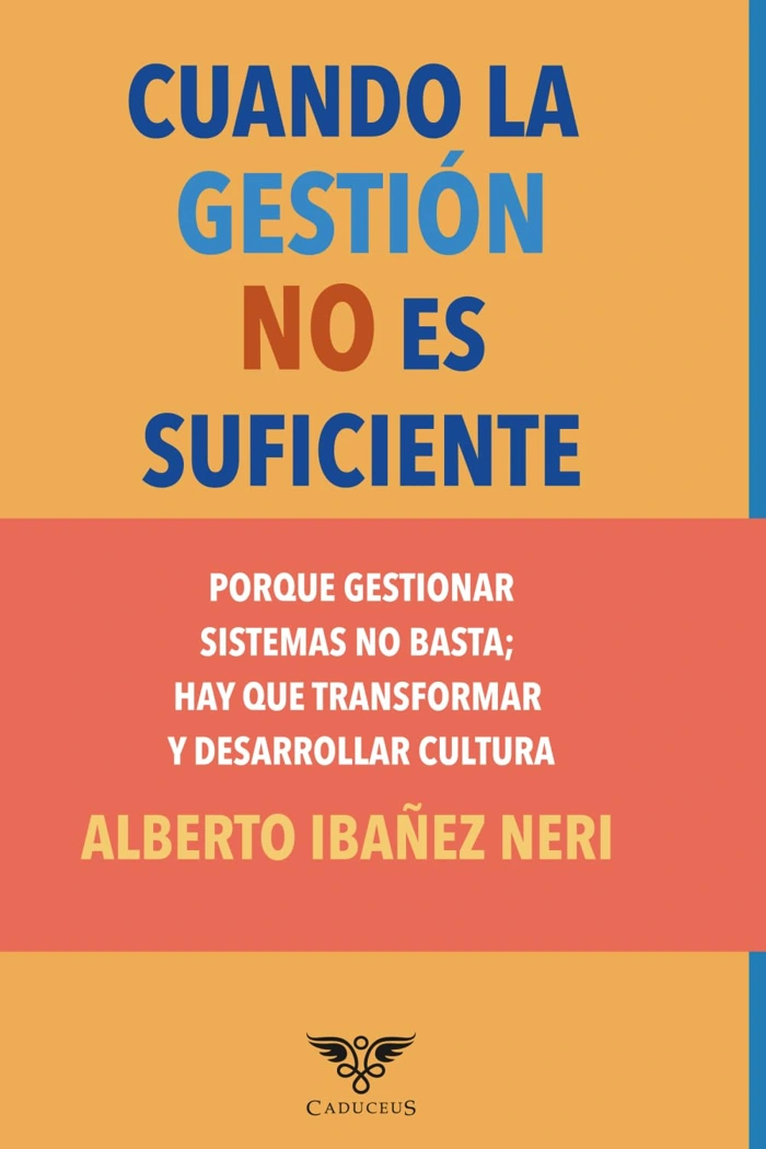 Portada de Cuando la gestión no es suficiente, de Alberto Ibañez Neri